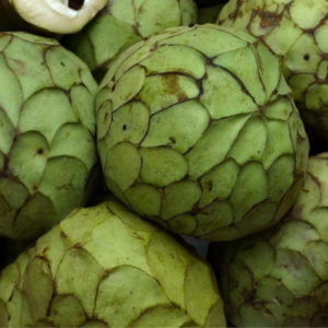 Corossolier Coeur de boeuf