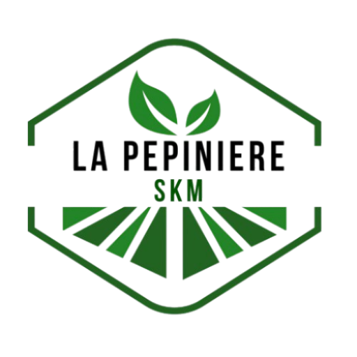 La Pépinière SKM