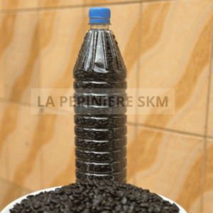 Semence de campêcher (1L)