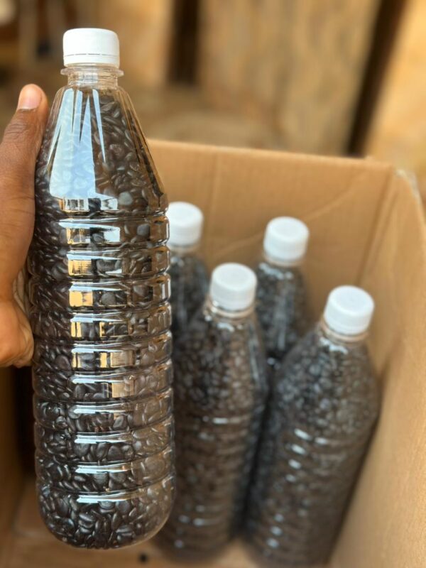 WhatsApp Image 2026-01-27 at 09.56.36 Semence de campêcher (1L)