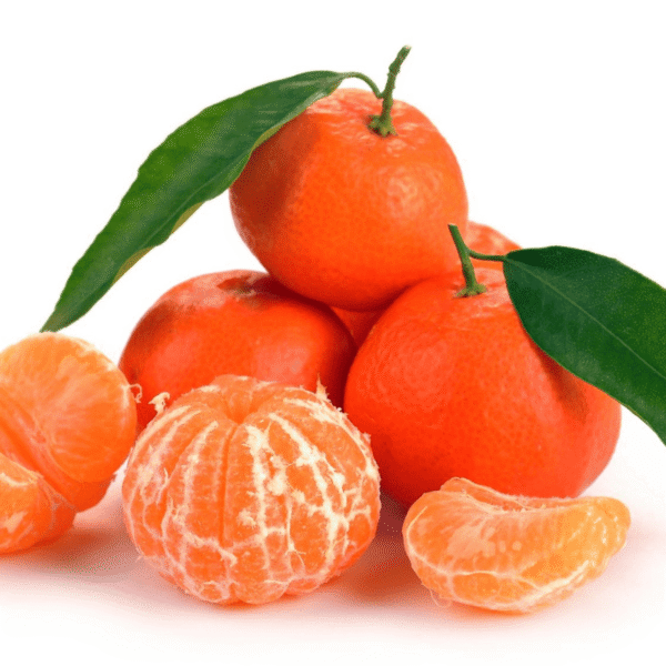 Clémentinier Sidi Aïssa
