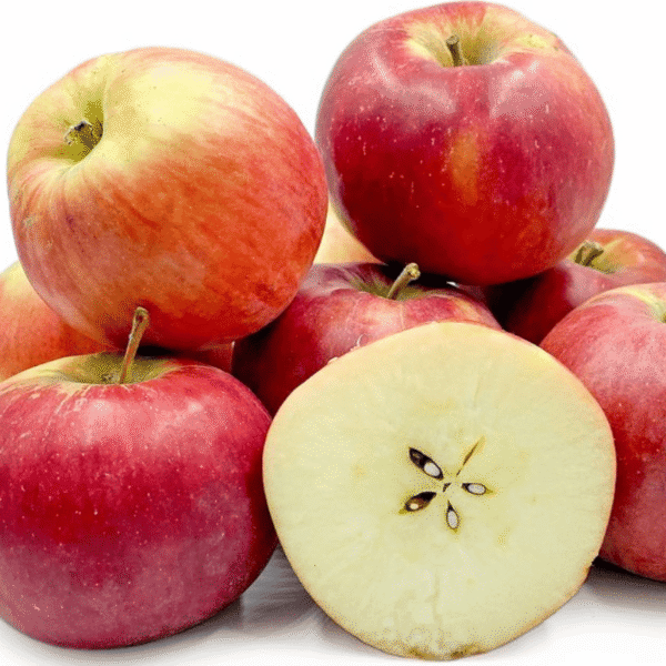 Pommier Anna