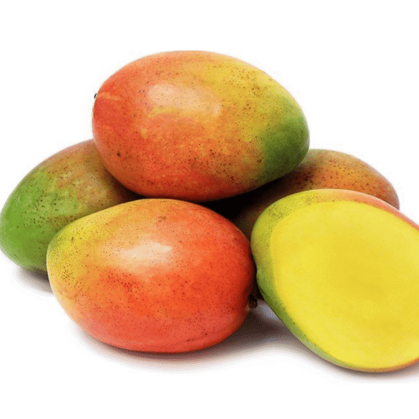 mangue amelie (1) Manguier Amélie